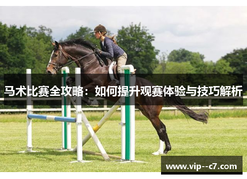 马术比赛全攻略：如何提升观赛体验与技巧解析