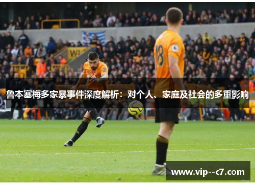 鲁本塞梅多家暴事件深度解析：对个人、家庭及社会的多重影响