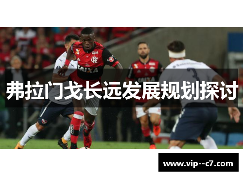 弗拉门戈长远发展规划探讨 弗拉门戈长远发展规划探讨