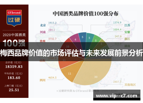 梅西品牌价值的市场评估与未来发展前景分析