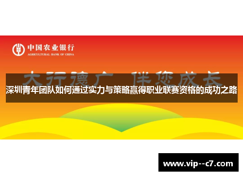 深圳青年团队如何通过实力与策略赢得职业联赛资格的成功之路 深圳青年团队如何通过实力与策略赢得职业联赛资格的成功之路