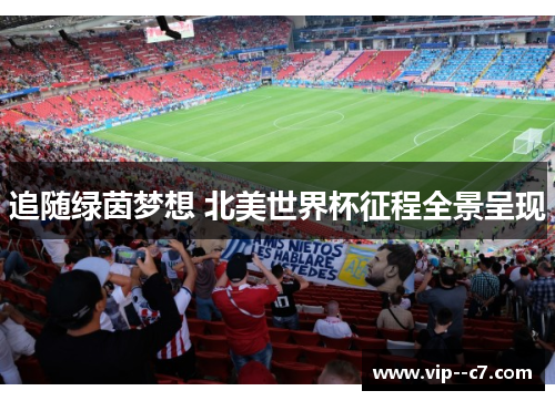 追随绿茵梦想 北美世界杯征程全景呈现